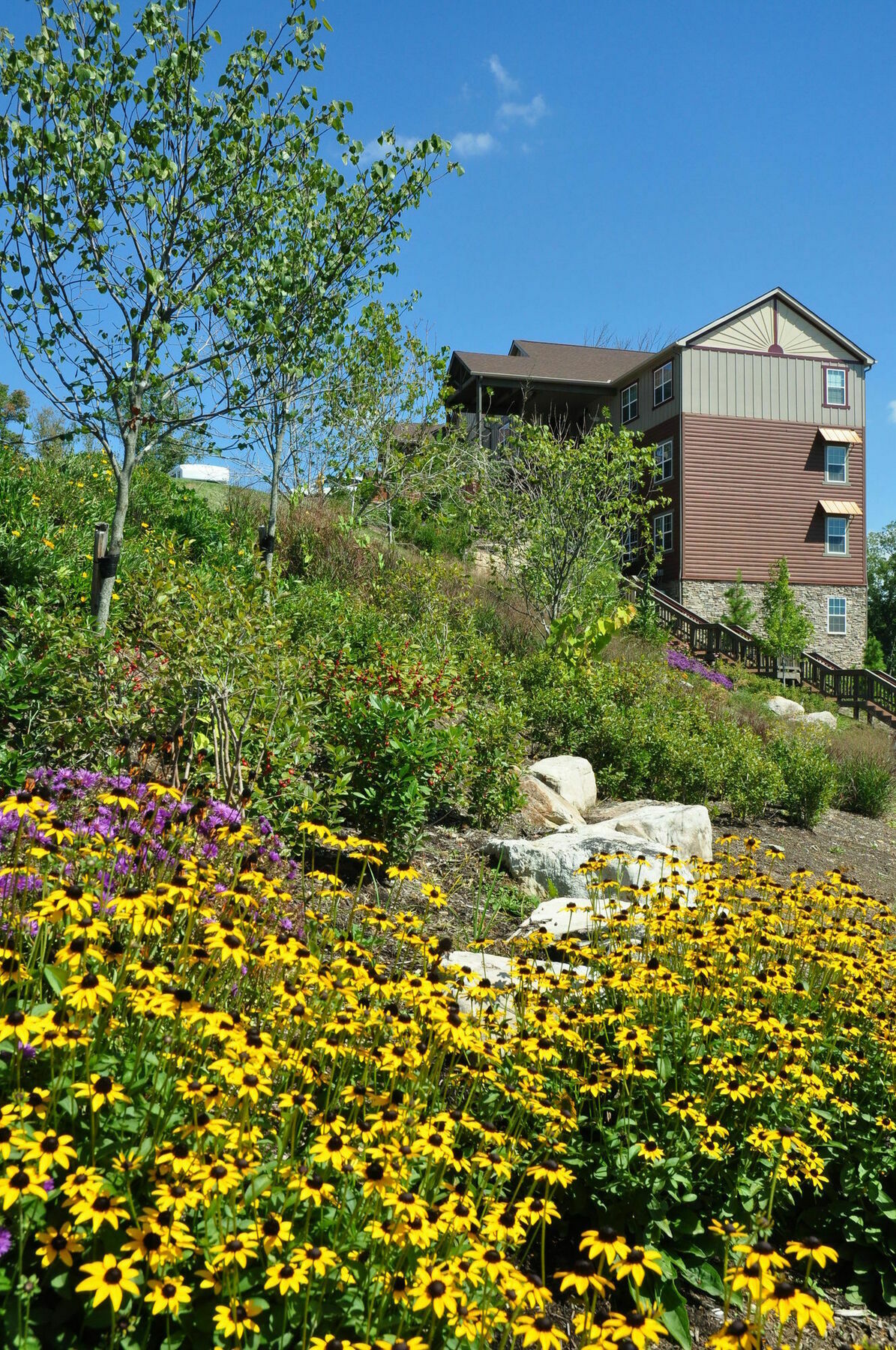 The Lodges Of The Great Smoky Mountains Pigeon Forge Luaran gambar